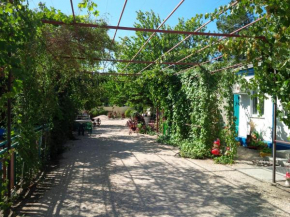 Guest house Chapaeva 18